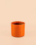 Mini Vaso Laranja S – 9 cm