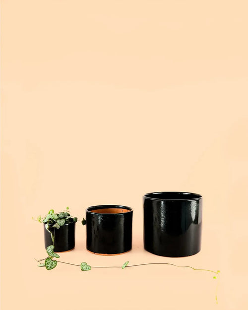 Mini Maceta Negra – S 9 cm - Pur Plant
