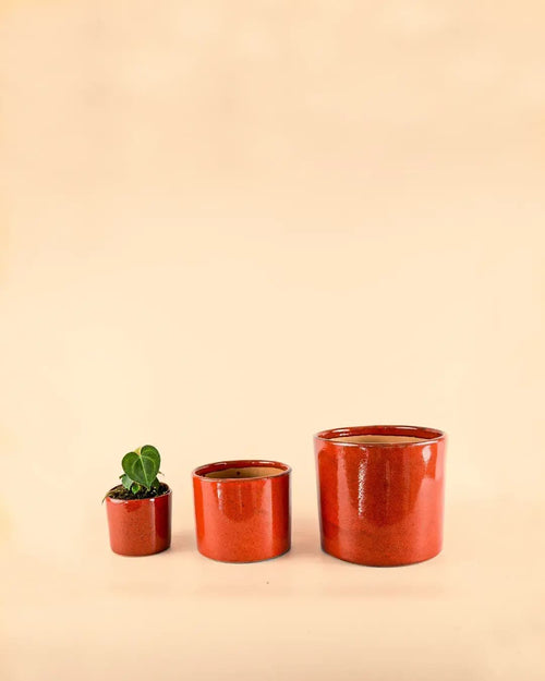 Mini Maceta Roja S – 9 cm - Pur Plant