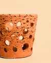 Mini Maceta Terracota para Orquideas – 10 cm - Pur Plant