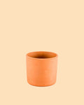Mini Vaso Terracota S – 9 cm