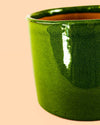 Mini Maceta Terracota Verde - Pur Plant