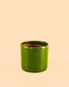Mini Maceta Terracota Verde - Pur Plant