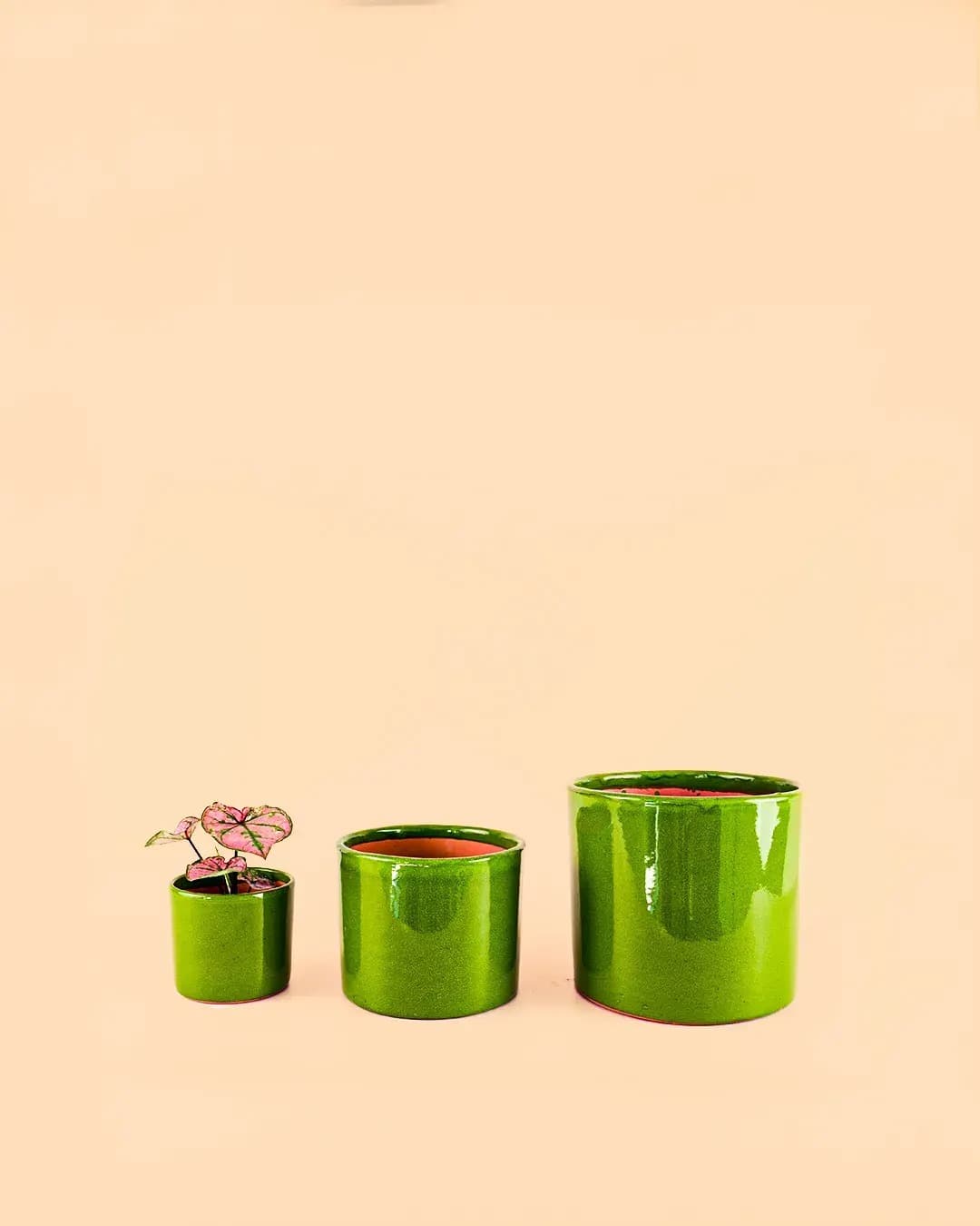 Mini Maceta Terracota Verde - Pur Plant