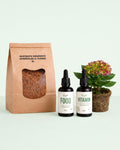 Plant Nutrition Box - Nutrição para Acidófilas e Flores