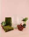 Ovo Terrario Bol 20×27 cm - Pur Plant