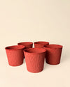 Pack 5x macetas biodegradable rojo 9 cm - Pur Plant