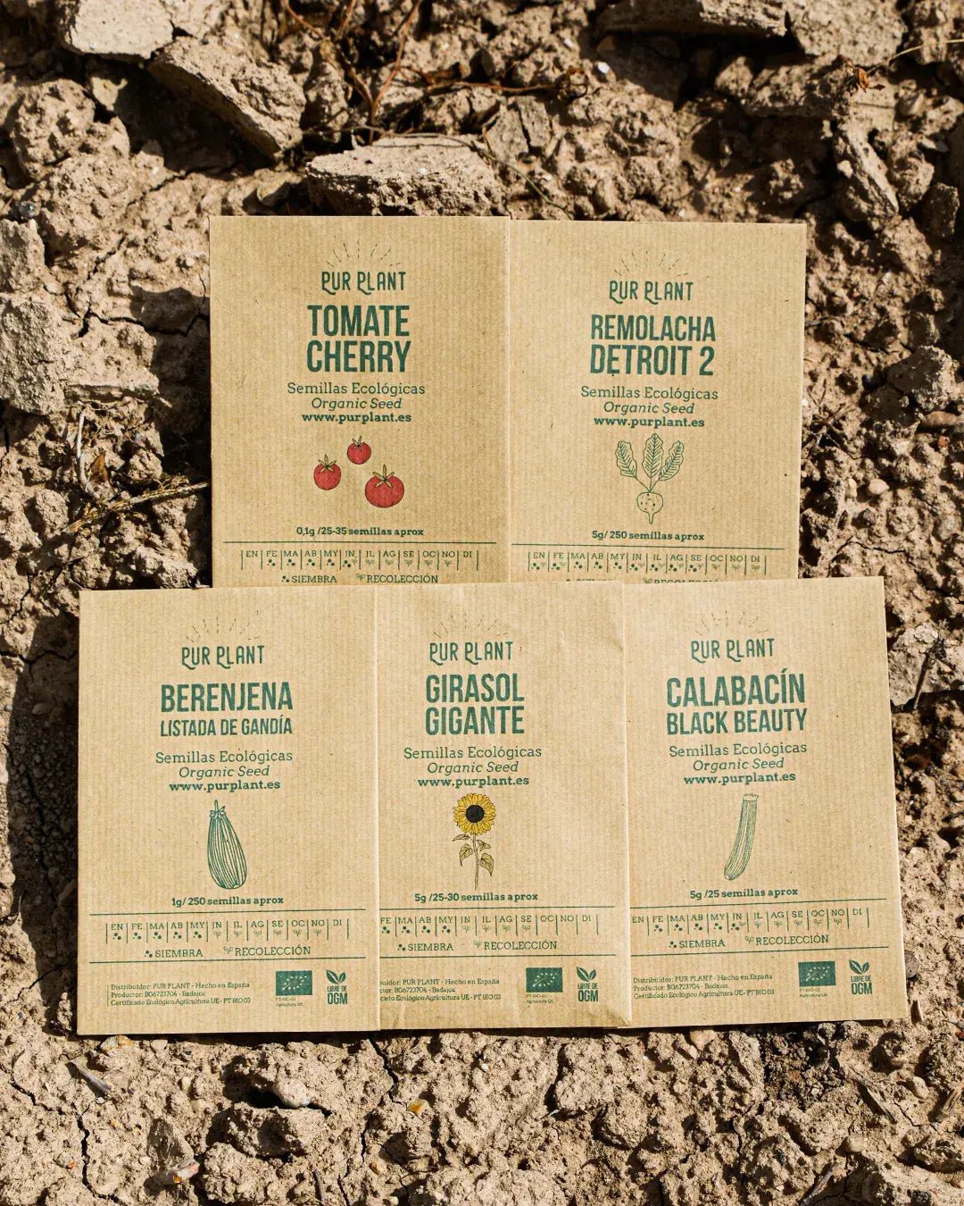 Pack semillas de Primavera Verano - Pur Plant