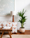 palmera-kentia-l-context