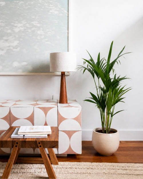 palmera-kentia-l-context