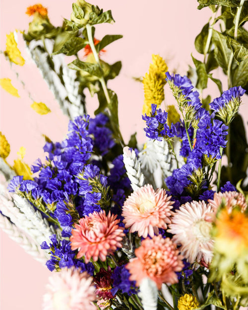 Patrice – Ramo de Flores Secas - Pur Plant
