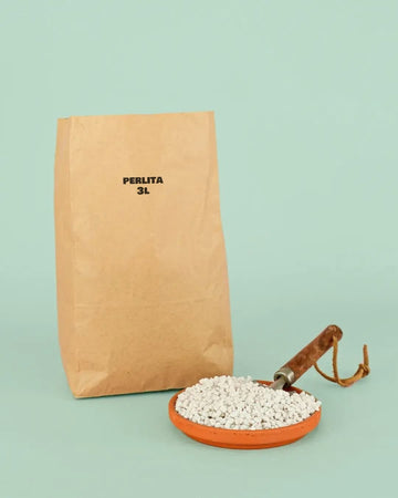 Perlita 3L