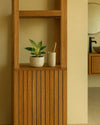 Philodendron Birkin Mini - Pur Plant