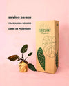Philodendron Pink Princess M - Pur Plant
