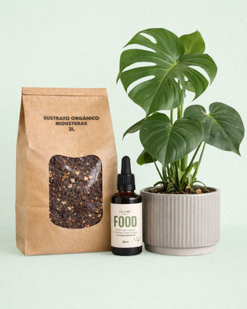 Plant Nutrition Box - Nutrição para Monsteras