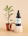 Plant Nutrition Box - Nutrición para Plantas Verdes Tropicales - Pur Plant