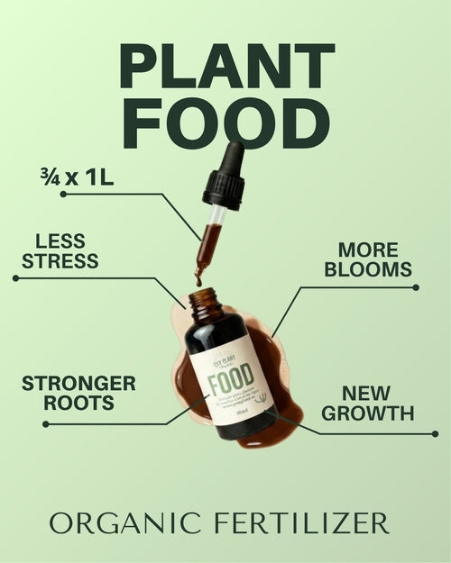 Alimento para Plantas – Comida para Plantas de Interior 50ml