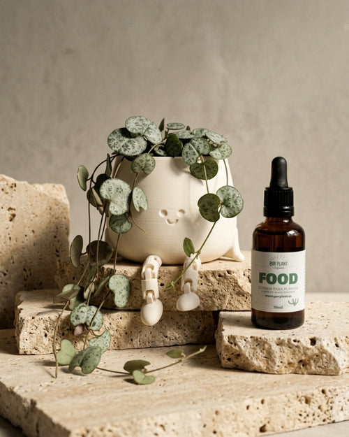 Alimento para Plantas – Comida para Plantas de Interior 50ml