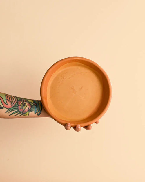 Plato de Maceta Terracota 22cm - Pur Plant