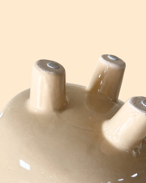 potit-mediana-maceta-detail