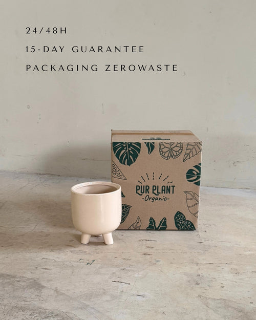 potit-mediana-maceta-packaging