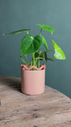 Fun – Vaso Cerâmica Salmão M 12 cm