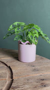 Fun – Vaso Cerâmico Rosa M 12 cm