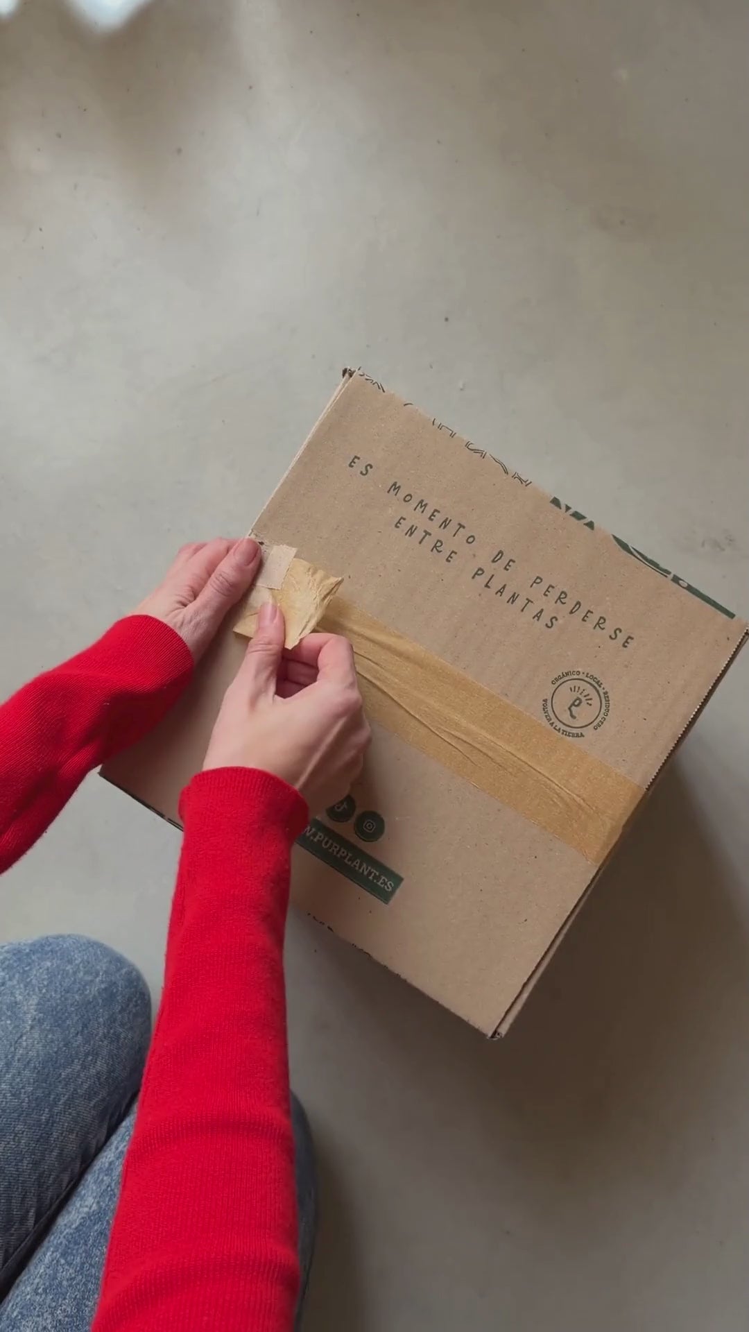 unboxing pur plant

