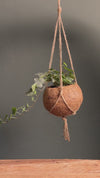 Coco Hang – Vaso Suspenso de Coco 15 cm