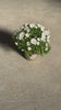 Campanula Dublin Blanca M 