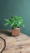 Cubo – Mini Vaso Cerâmico Castanho 9 cm