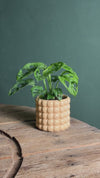 Poppy – Vaso Cerâmica Salmão M 12 cm