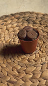 Lithops Rubra – Piedra Viva video