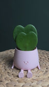 Conjunto de Oferta Hoya Kerrii Dupla + Vaso Happy Rosa