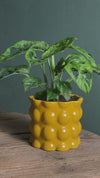 Bob – Vaso de Cerâmica Amarelo M 12 cm