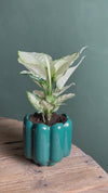 Retro – Vaso Cerâmica Esmeralda M 11 cm