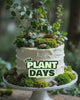 PUR PLANT DAYS 6 ANIVERSARIO RECURSOS GRAFICOS (2)