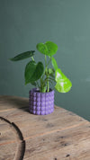 Poppy – Vaso Cerâmico Lilás M 12 cm