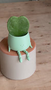 Mini Happy Pot Verde Pastel – 6 cm