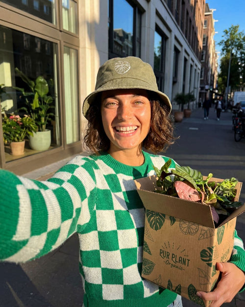gorro bucket pur planter