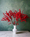 Ramo Acebo Rojo - Pur Plant