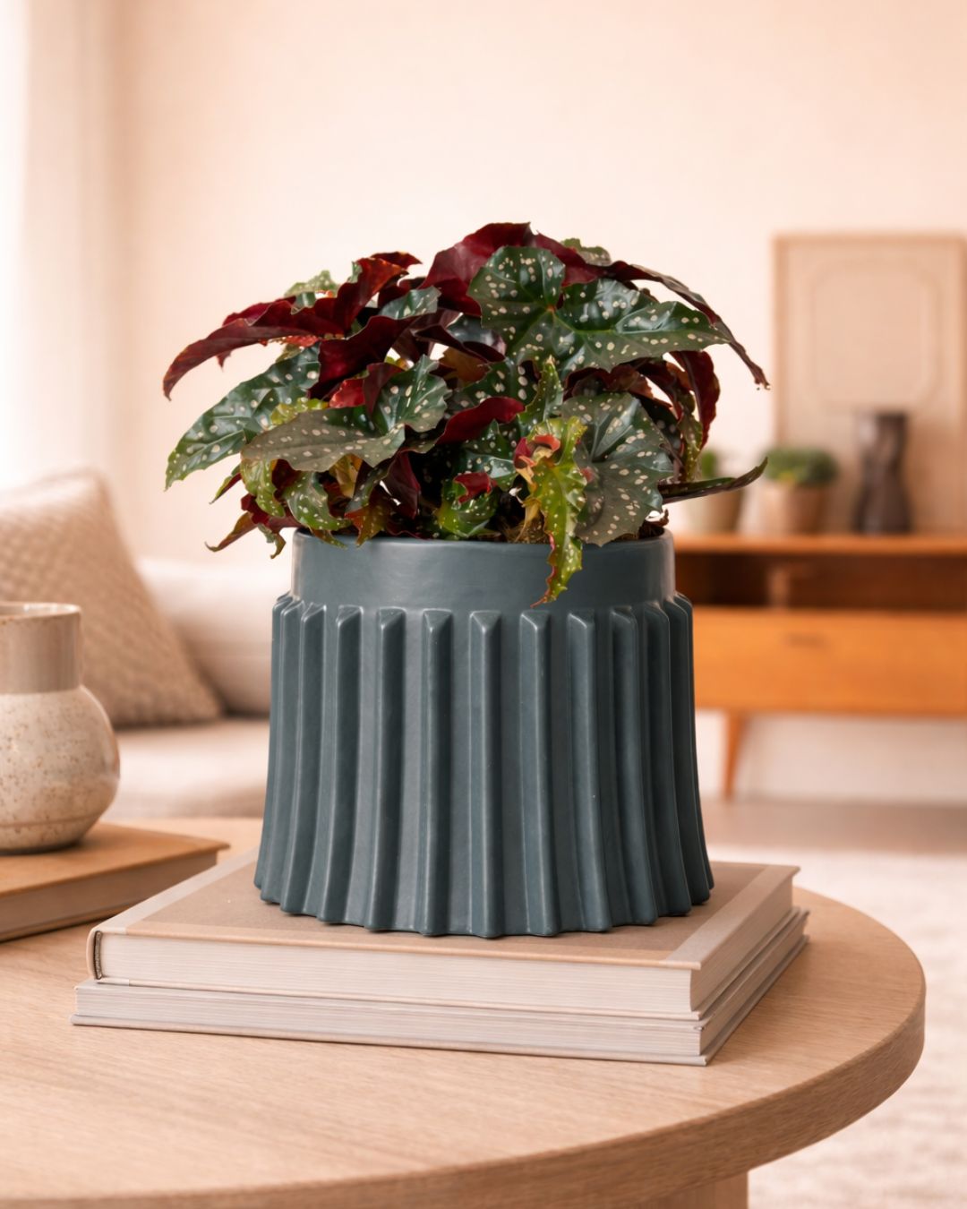 Raw – Maceta Cerámica Negra M 12 cm - Pur Plant