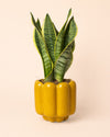 Retro – Maceta Cerámica Amarilla M 11 cm - Pur Plant