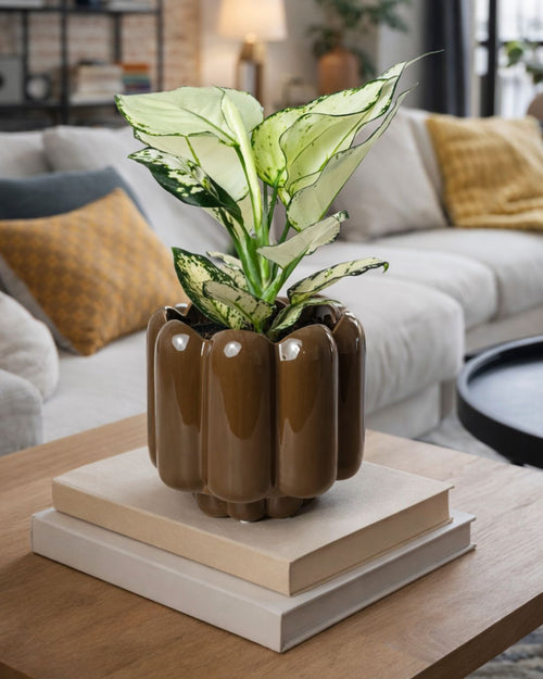 Retro – Maceta Cerámica Marrón M 11 cm - Pur Plant