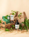 Salva Plant Box - Rescate y Recuperación de Plantas en Crisis - Pur Plant