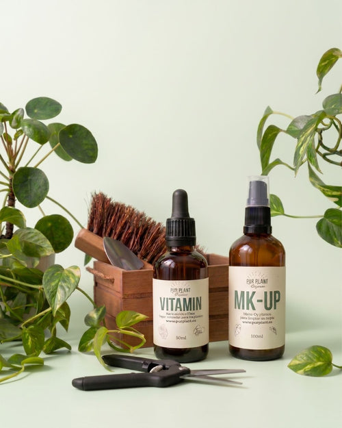 rescata tus plantas con la salva plant box