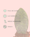 Sansevieria Trifasciata Victoria M - Pur Plant