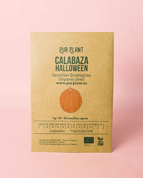 Semillas de Calabaza Halloween - Pur Plant