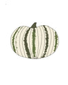 Semillas de Calabaza Sweet Dumpling - Pur Plant