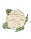 Semillas de Coliflor «Bola de nieve» - Pur Plant